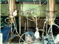 EthanolContinuousBioreactorsusingwheypermeateconcentrate