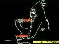 Biodegradation1