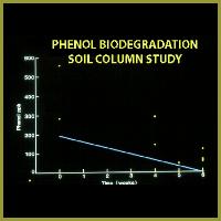 Phenolsoilcolumnresults3a
