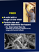 Resources/Slide13_tn_moo-ss_Slides74b.png