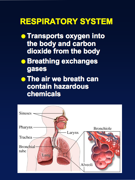 Resources/Slide16_slide_moo-ss_Slideh.png