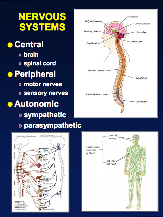 Resources/Slide23_slide_moo-ss_Slidec.png
