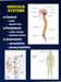 Resources/Slide23_tn_moo-ss_Slides91_.png