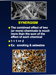 Resources/Slide6_tn_moo-ss_Slides28_8.png